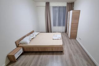 Apartament CWA 1 Aeroport Otopeni - Otopeni - 4
