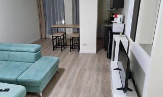 Apartament CWA 1 Aeroport Otopeni - Otopeni - 7