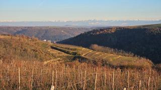 Logement au calme, avec vue dégagée - Ardoix - 9