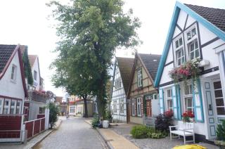 Strandmuschel, ca 100m z. Alten Strom - Warnemünde - 3
