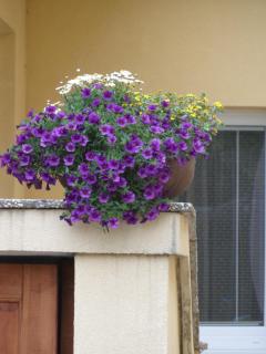Apartmány Lea - Liptovský Mikuláš - 8
