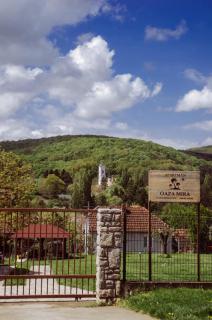 Oaza Mira Vrdnik - Vrdnik - 8