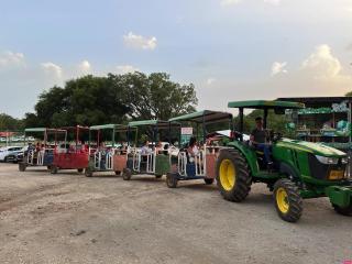 Yaar Odem Resort - כפר נופש יער אודם - 1