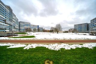 Ferienpark - Haus K, App 0KEG11 - Heiligenhafen - 9