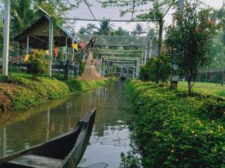 Village of Blossom - Ernakulam - 8