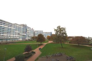 Ferienpark - Haus N, App 0N0203 - Heiligenhafen - 9
