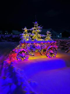 Guest House Lileya - 7