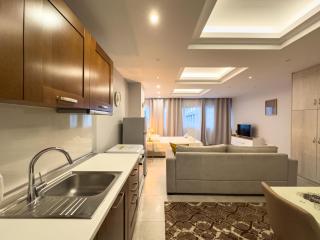 Glamorous & Spacious Renovated Apartment, Syntagma, DT Athens - Atene - 6