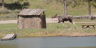 Eagle Ridge Ranch - 4