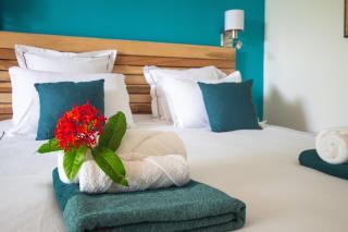 Palmélodie - Avec piscine et jacuzzi partagés - 1