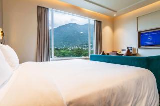 Holiday Inn Katra Vaishno Devi by IHG - Katra - 5