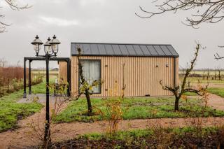 Luxe Tinyhouse op minicamping in Waarde - 7