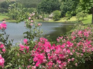Willowbrooke Cottage - Himeville - 7