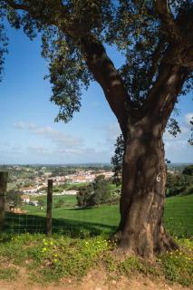 Costa Vicentina Villa with Garden Pool and View - Ermidas - 9
