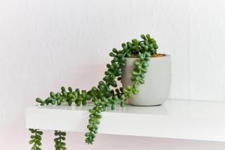 Simple 3 bed in Nottingham - Parking - 4