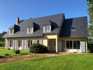 Cedre - Varengeville-sur-Mer - 9