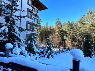 Pine Tree one bedroom apartment - 3