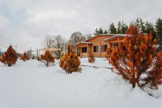 Kingswood Cabins - Borjomi - 3