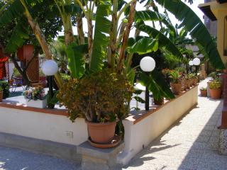 B&B Terra del Sole - 4