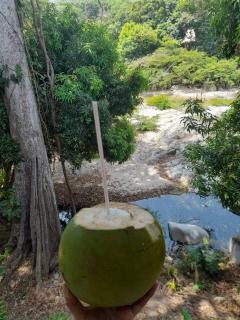 Hostal Y Balneario La Danta - 6