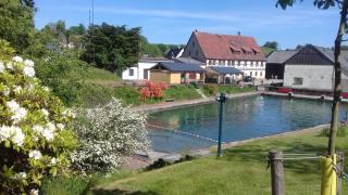 FeWo im Urlaubsparadies "Tiffani" - - 1