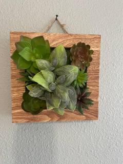 Le Central-Proche Gare et Genève - 8