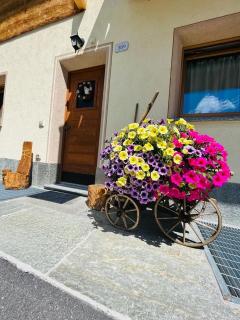 Chalet Sunshine - 2