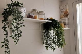 Los Pedregales 1 - 5