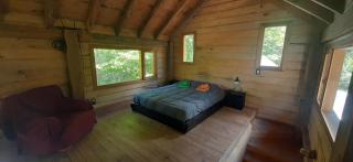 Hermosa cabaña en bosque nativo - 2