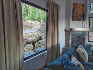 Stay in Evergreen - Denver Mountain Escape - 1