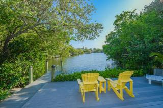Palm Trees and Manatees - Anna Maria - 8