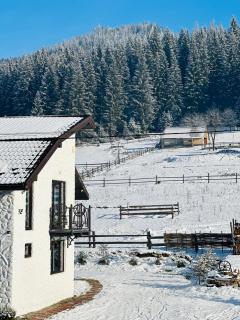 Guest House Lileya Villa - 8