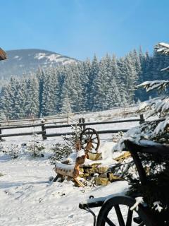 Guest House Lileya Villa - 3