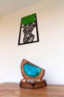 Appartamento Mango - 2