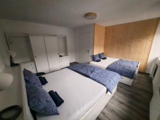 Apartmán Pod Mamutem - Dolní Morava - 3