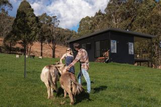 Deep Creek Farmstay - Bright - 5