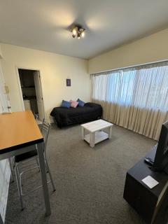 Departamento Av San Martín c/ cochera - Mendoza - 6