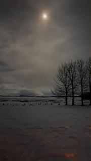 Kaldbakur Guesthouse - 3