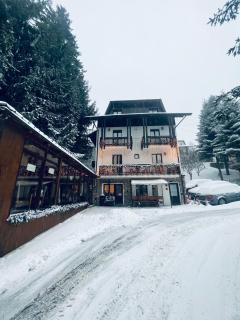 Cabana Din Poienita - 9