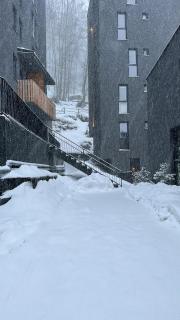 Mavrovo_apt4 - 3