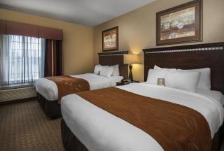 Comfort Suites Conway - Conway - 8