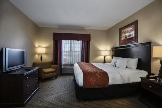 Comfort Suites Conway - Conway - 6