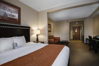 Comfort Suites Conway - Conway - 5
