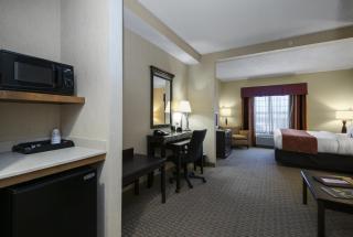 Comfort Suites Conway - Conway - 4