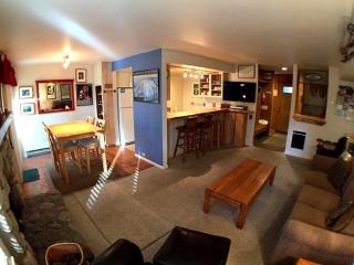 1 Bedroom Premium Condos - 9