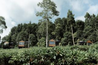 Bobocabin Dieng Pass, Batang - - 2