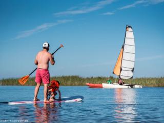 Biscarrosse T2 avec piscine, parking, à 10km de l'océan - FR-1-319-349 - Biscarrosse - 1