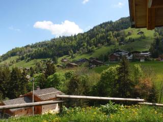 Chalet 12 pers - Sauna - Terrasse - Wifi - FR-1-437-9 - 7