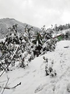 Aranya Mukteshwar - 2