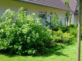 4 Sterne Apartment Hühnergott mit Terrasse und Sauna - Lobbe - 9